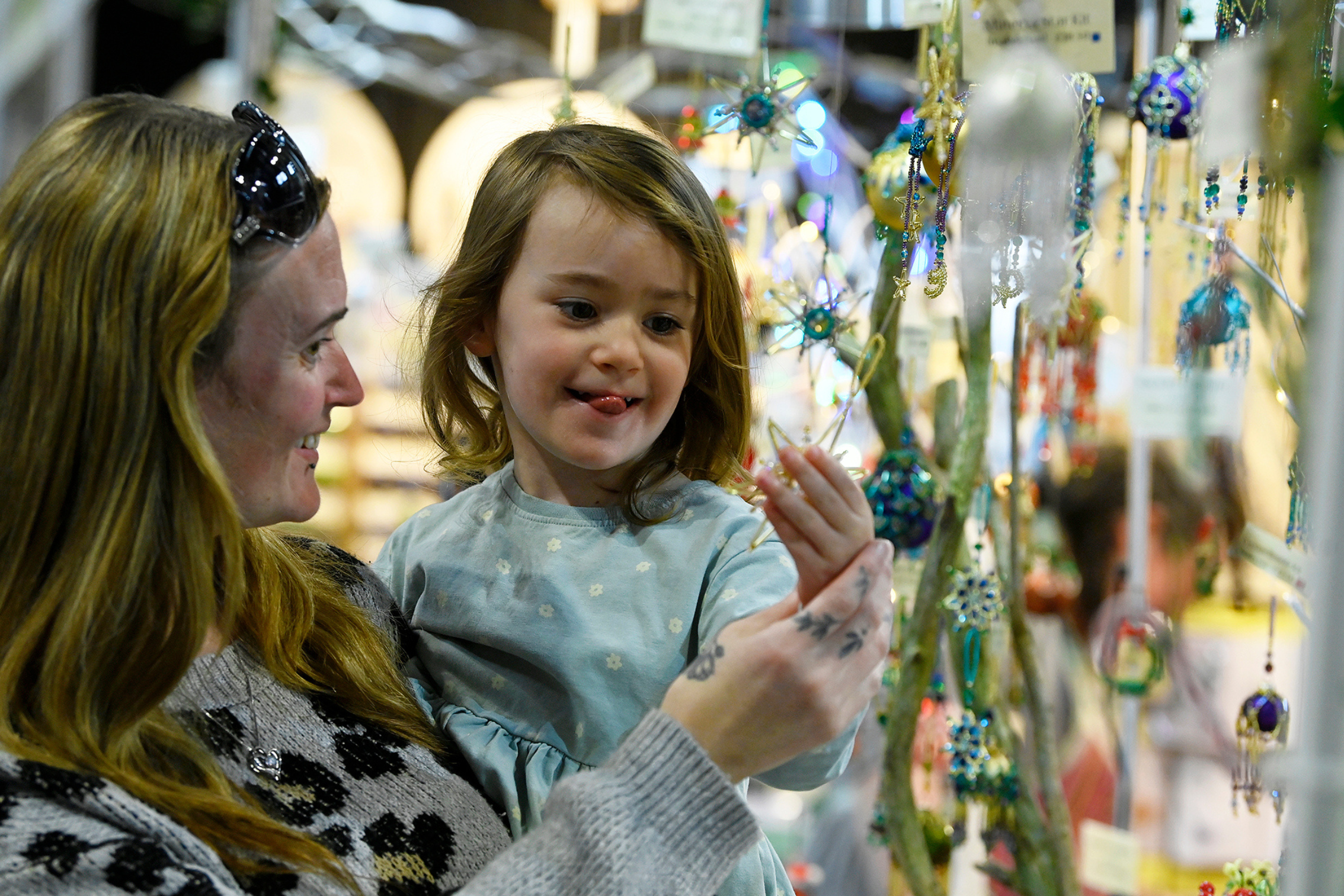 The Creative Craft Show - Features